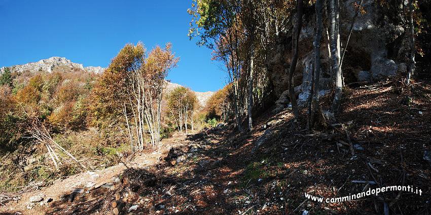09 12564 Val Carnera.jpg